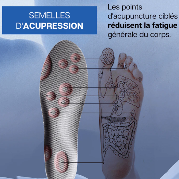 semelle chaussure