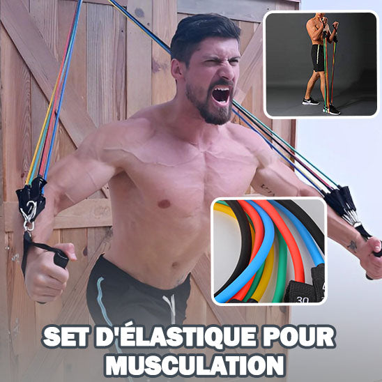 élastiques musculation